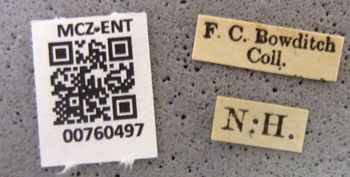 Media type: image;   Entomology 760497 Aspect: labels